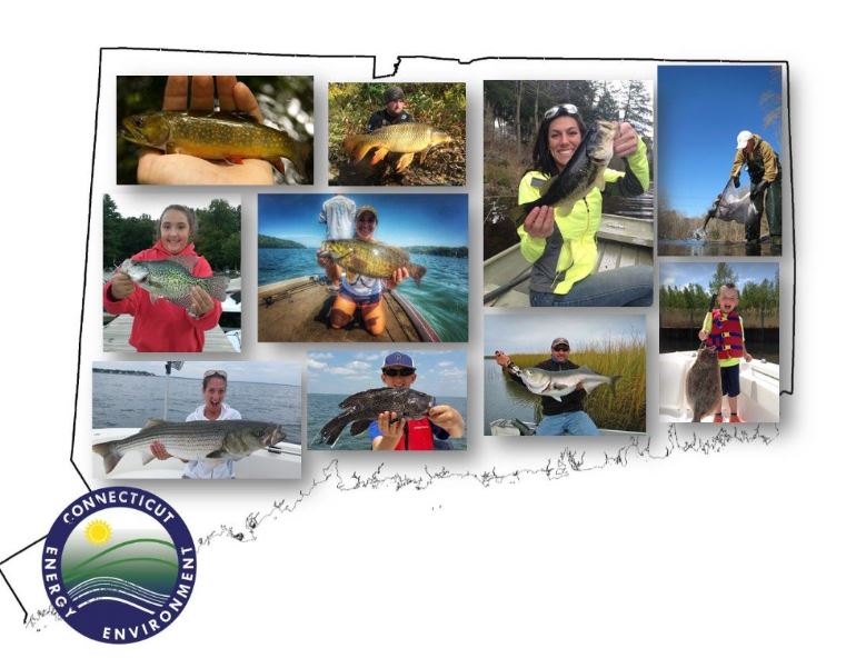 Job Opening Environmental Protection Seasonal Resource Assistant